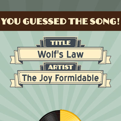  Wolfs Law 