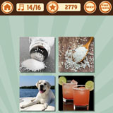  A Salty Dog 