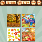  Autumn Leaves 