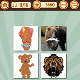  Bear 