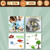  Biology 