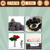  Blackberry Way 