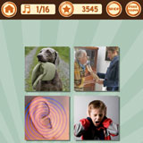  Bring The Noise 
