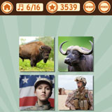  Buffalo Soldier 