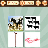  Cattle And Cane 
