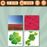  Crimson Clover 