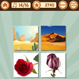  Deset Rose 