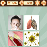  Disease 