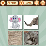  Elephant Stone 