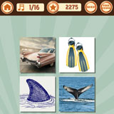  Fins 