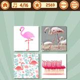  Flamingo 