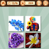  Flower 