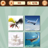  Fly 