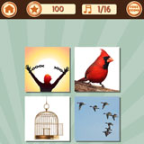  Free Bird 