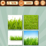  Grass 