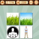  Grassman 