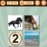  Horse To Water 
