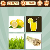  Lemon Grass 