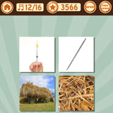  Needle In The Hay 