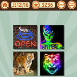  Neon Tiger 