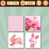  Pink Rabbits 