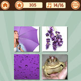  Purple Rain 