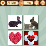  Rabbit Heart 