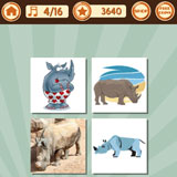  Rhinoceros 