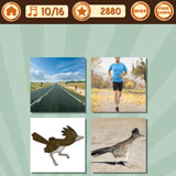  Roadrunner 