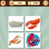  Rock Lobster 
