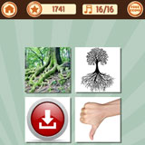  Root Down 