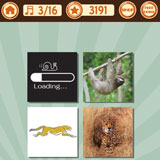  Slow Cheetah 