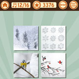  Snowbird 