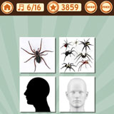 Spiderhead 