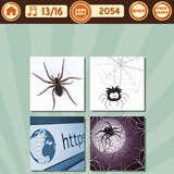  Spiderwebs 