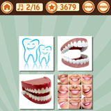  Teeth 