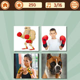  The Boxer 