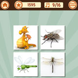  The Dragonfly 