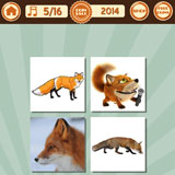  The Fox 