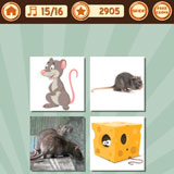  The Rat 