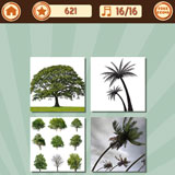  The Trees 