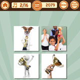  Trophy 