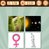  Venus 