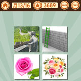  Wall Flower 