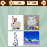 White Rabbit 
