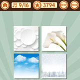  White Sky 