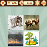  Wildfire 